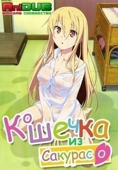 Постер аниме  Sakurasou no Pet na Kanojo 