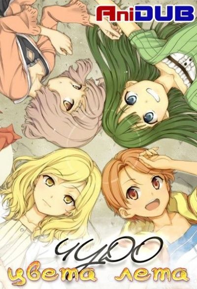 Постер аниме  Natsu-iro Kiseki 