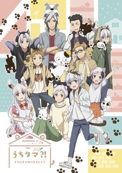 Постер аниме Uchi Tama?! Uchi no Tama Shirimasen ka? Постер аниме Вы не видели нашего Таму?