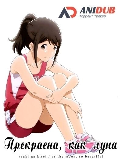 Постер аниме  Tsuki ga Kirei 
