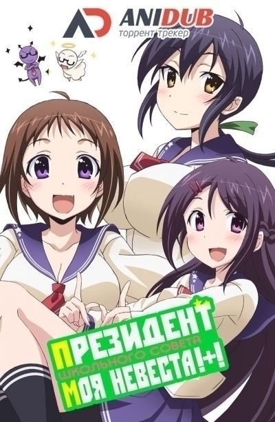 Постер аниме  Okusama ga Seitokaichou! Plus! TV-2 
