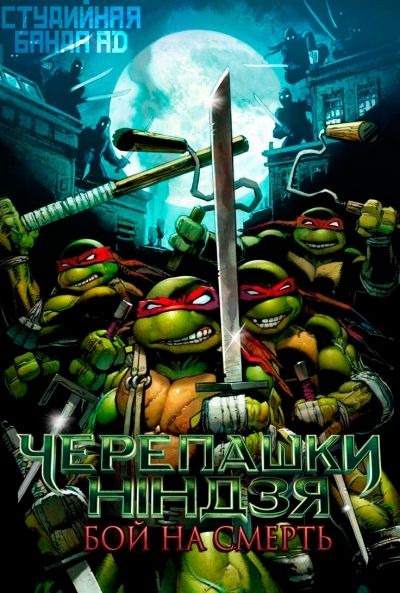 Постер аниме  Teenage Mutant Ninja Turtles - Don vs Raph
